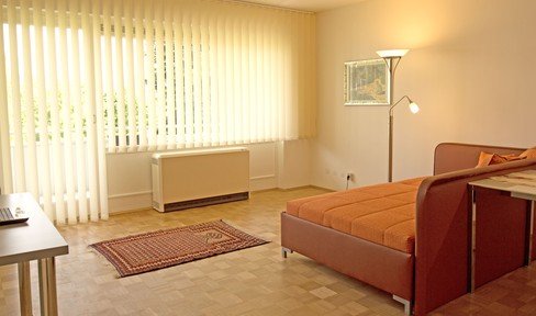 1 room apartment "all inclusive" in Bad Godesberg