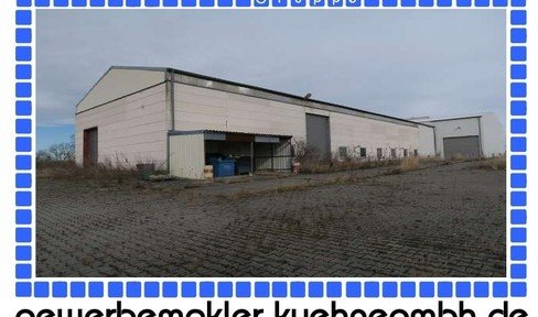 Prov. free: With country air: Large-scale commercial property with warehouse and open spaces
