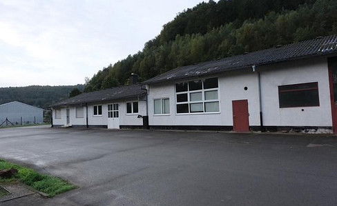 66976 Hallen, verkehrsgünstig, 152qm + 100qm für Lager / Produktion / Handwerk in Rodalben