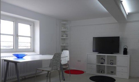 50823: MODERN FURNISHED, BRIGHT, renovated industrial design apartment, 1 room + bathroom, DOMBLICK