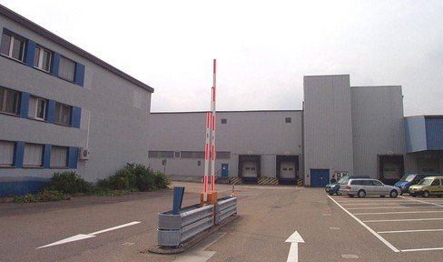 Lagerhalle 2700 m² mit 2 Toren und Büro 200 m² in Ludwigshafen zu vermieten