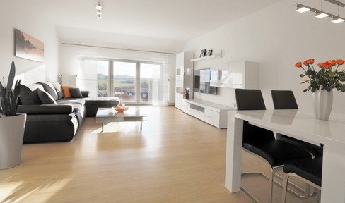 Penthouse flair: furnished 2-room apartment above the rooftops of Reislingen South West