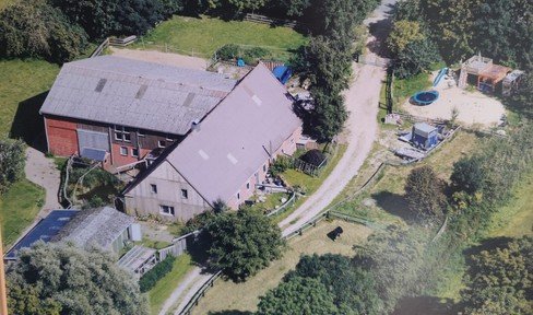 New prize: Horse farm in the Elbmarsch on 15,000 m2 of own land