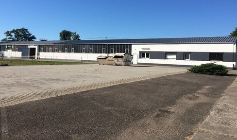 Warehouse with large plot offers potential