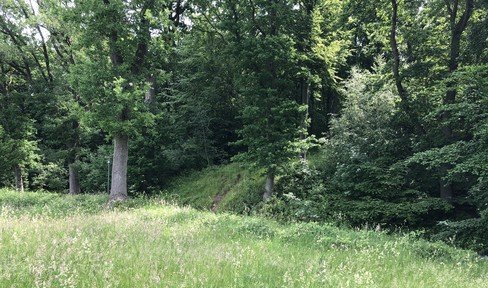 Rarity! Fantastic hillside plot in forest edge location with building permit