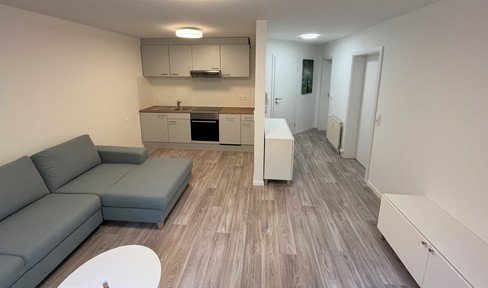 Modern furnished apartment with top connection basement apartment (first occupancy after renovation)