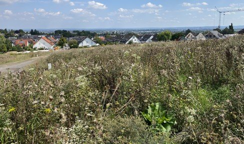 Traum-Grundstück in Alfter - direkte Waldlage & Fernblick - sofort bebaubar!