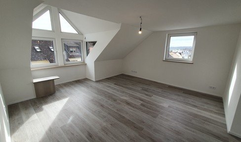 First occupancy very spacious, completely renovated apartment with a view