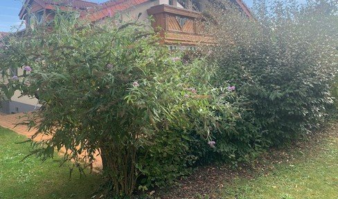 Einfamilienhaus Heidelberg-Kirchheim West mit schönem Garten