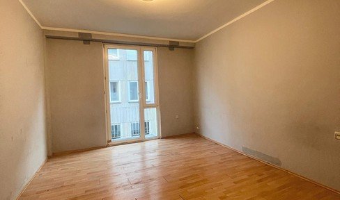 Beautiful, bright, quiet, newly renovated 1-room apartment