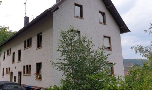 Günstige, vollständig renovierte 2-Zimmer-Dachgeschosswohnung in Ruppertsweiler