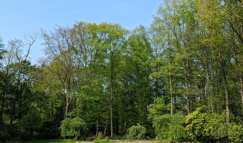 Einzigartiges, erschlossenes Villen-Grundstück in ruhiger Waldlage