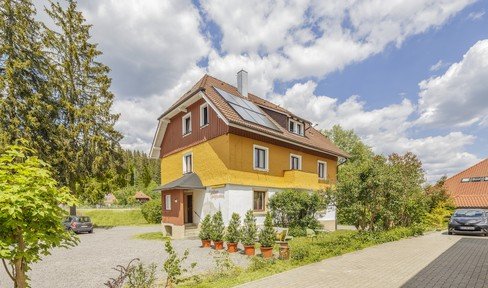 Apartment house & retro oasis with 7 apartments centrally located in Titisee (Upper Black Forest) Commission-free