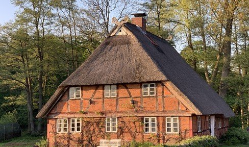 Thatched roof house with potential * Pond view *