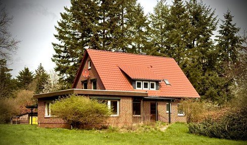 Large house on a large plot of land right next to the forest and nature reserve