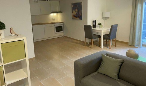 Neuwertige möblierte 2-Zimmerwohnung im Souterrain nahe SAP/Heidelberg