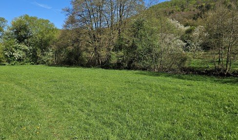Wonderful leisure meadow property directly on the Wiesent with old trees