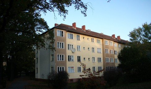 Bright 2-room apartment in Berlin Siemensstadt *let*