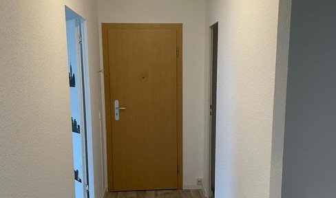 Newly renovated 3-room apartment with balcony in Walddrehna