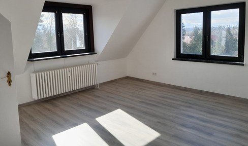 Refurbished 1-room apartment with new bathroom