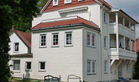 KOPIE: Mehrfamilienhaus/ 6 Wohneinheiten u. Ferienhaus  in Bad Grund/Harz