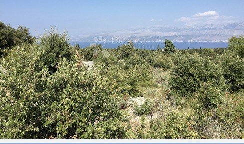 Croatia, Brac | 5000sqm olive grove with building permit