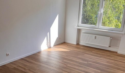 Newly renovated family apartment with sunny balcony