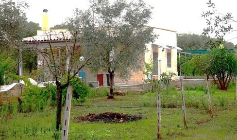 Vacation property: small organic farm in Apulia (I)