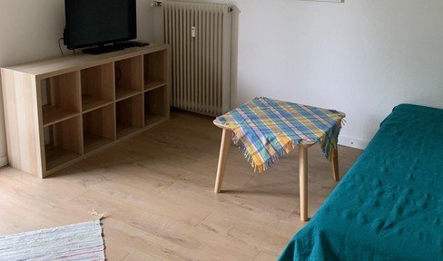 Renovated apartment in a quiet location near the university