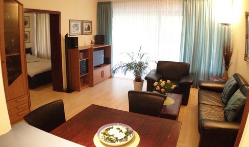 Attractive furnished 2-room apartment near the university